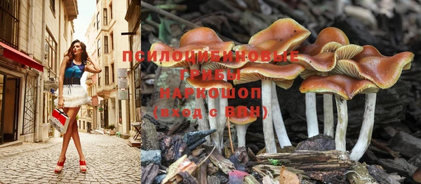 индика Алексеевка