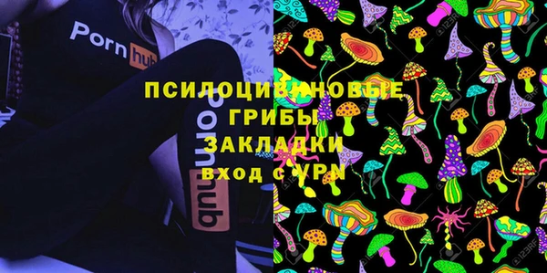 apvp Алексин