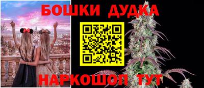 ГАЛЛЮЦИНОГЕННЫЕ ГРИБЫ Малгобек