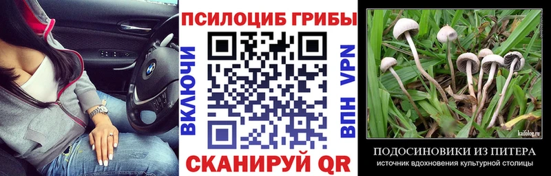 купить  цена  Ефремов  МЕГА маркетплейс  Псилоцибиновые грибы GOLDEN TEACHER 