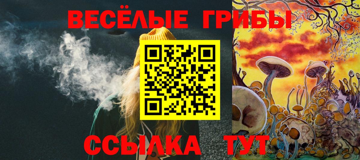 Псилоцибиновые грибы ЛСД Ефремов